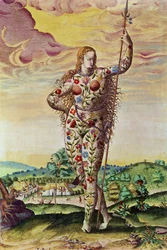 A Young Pictish Woman, from 